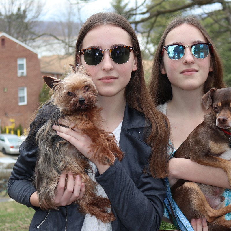 A Girl's Best Friend