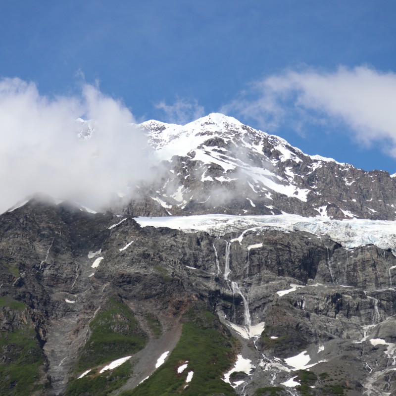 Denali Mountain Views 1