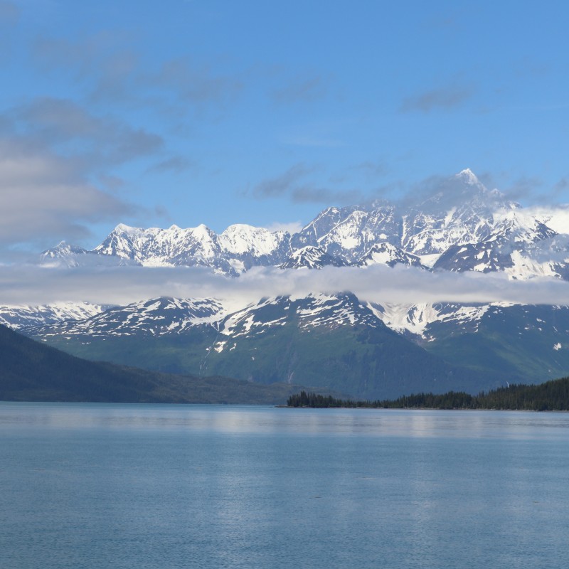 Glacier Cruise 1