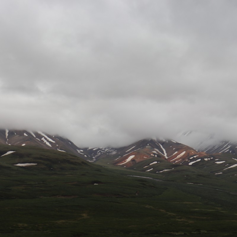 Denali Mountain Views 2