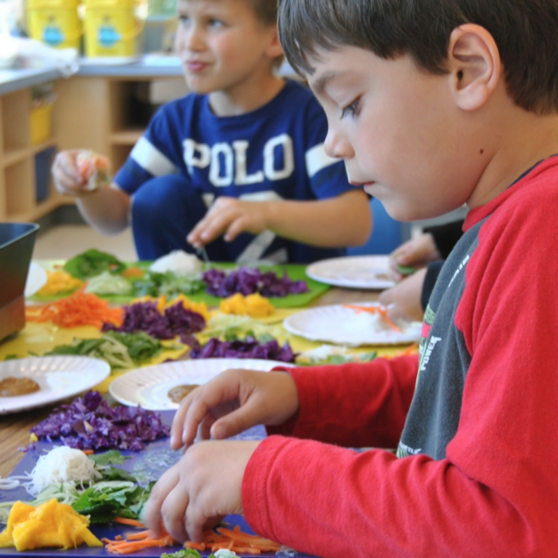 Curious-on-Hudson Classes