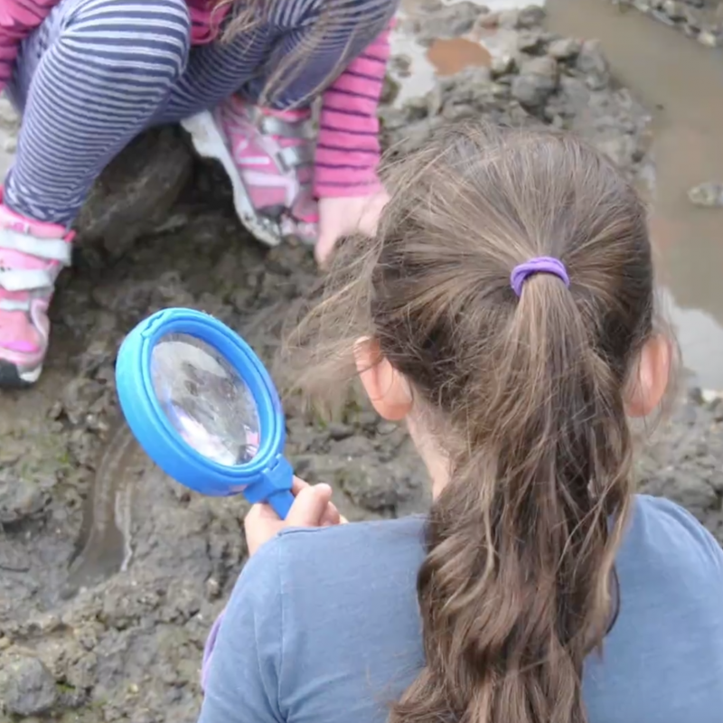 Curious-on-Hudson "Curiologists" Class