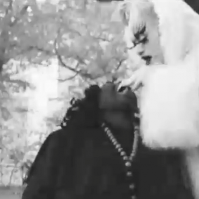 Living Her Life on Broken Wings