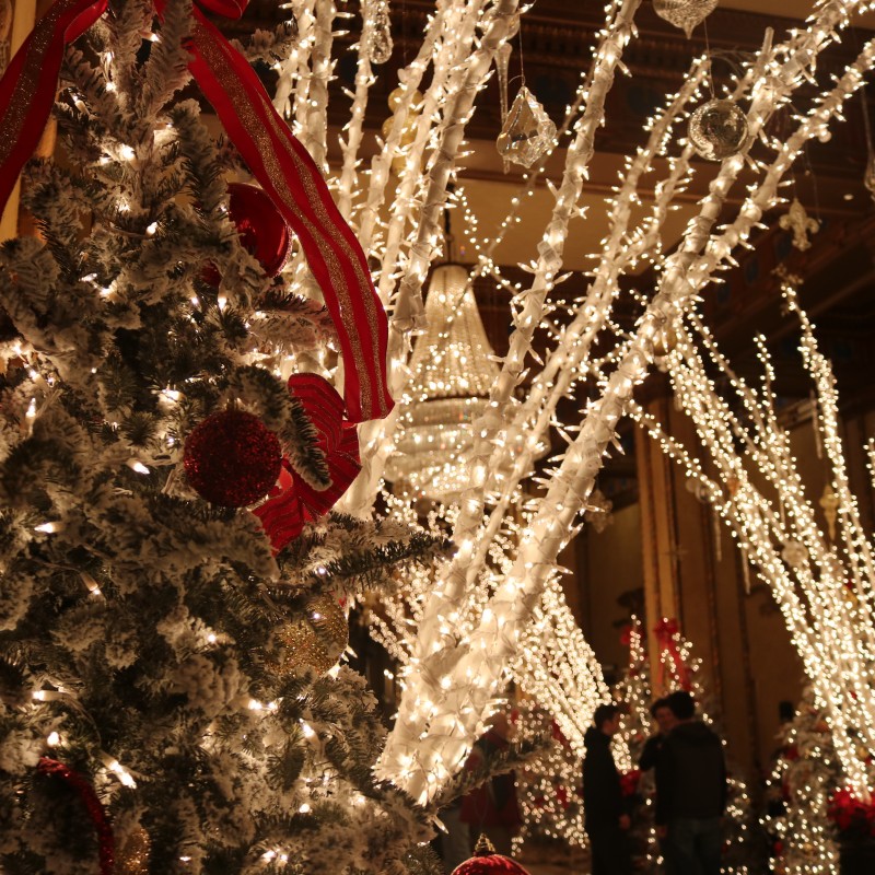 Roosevelt Hotel Holiday Lights 2