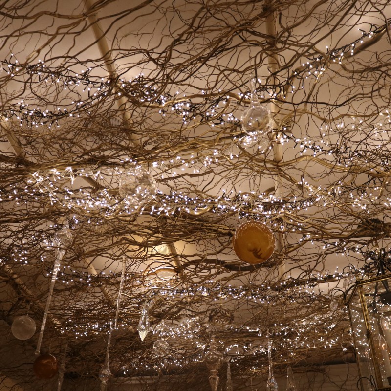 Ritz Carleton Holiday Lights