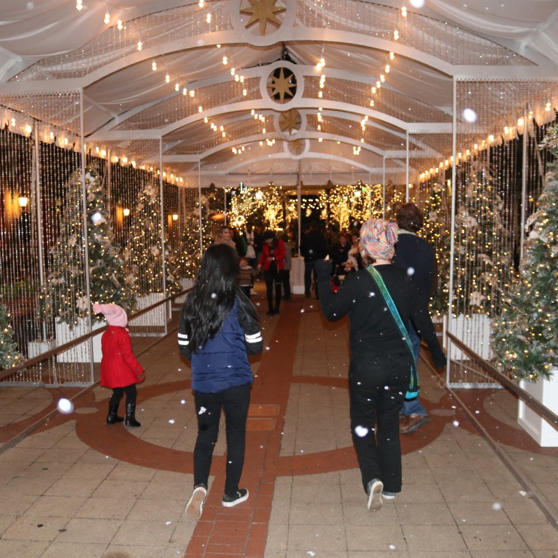 Fulton Street "Snow" & Lights