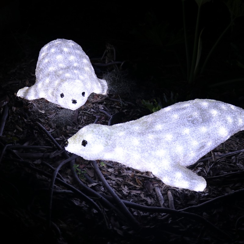Audubon Zoo Seal Lights