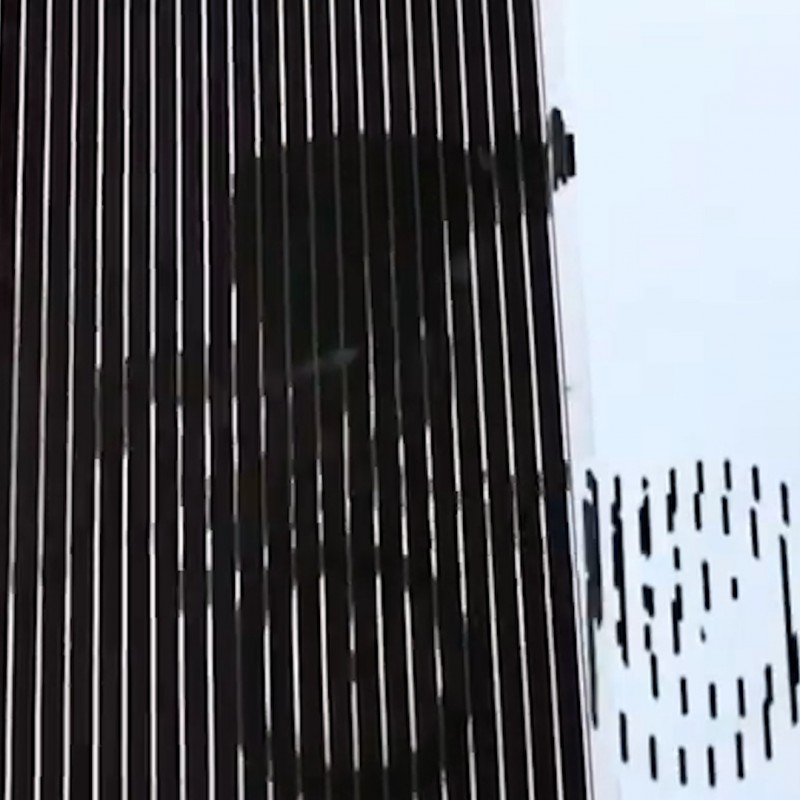 These Line Drawings Look Like They're Moving On Paper